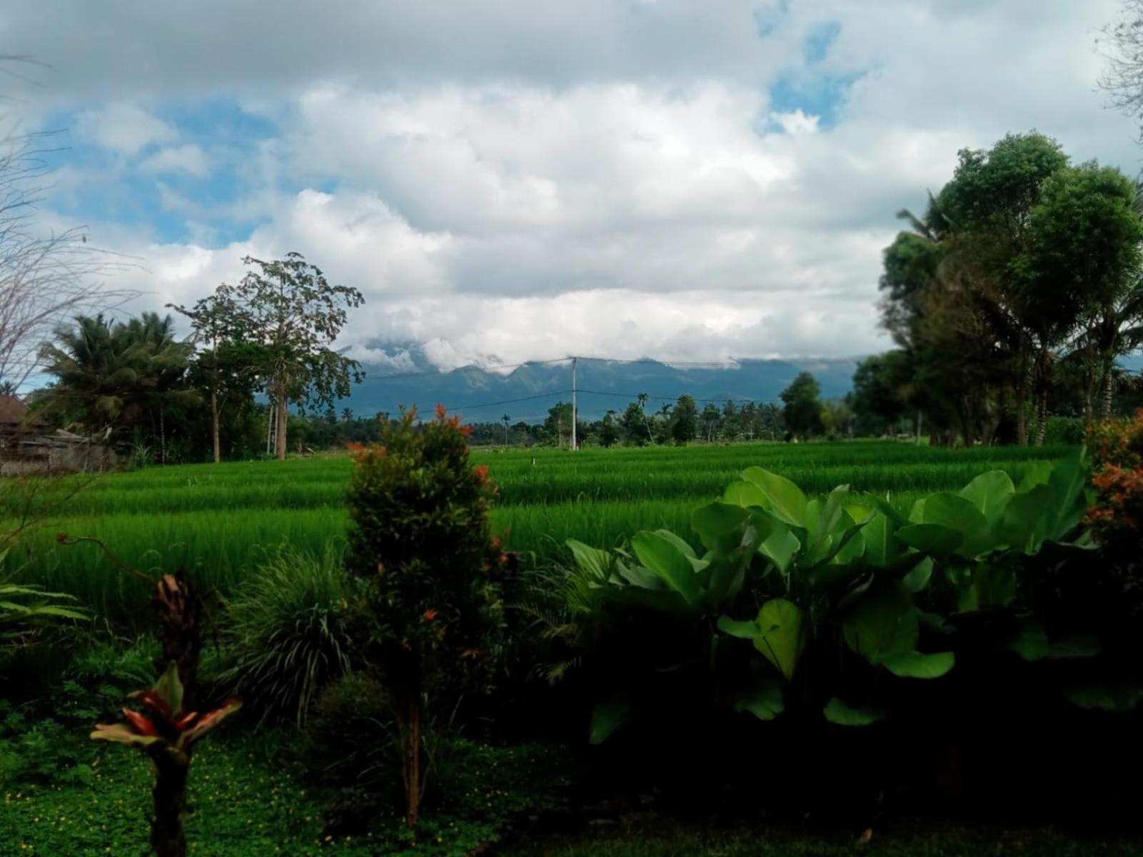 New Rinjani Homestay Tetebatu Habitación foto